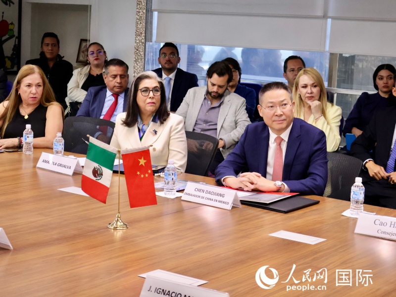 嘉宾交流研讨。埃内斯托·多明戈斯摄