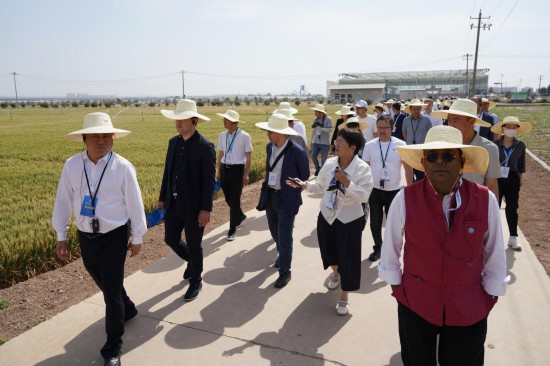 2025年5月19日,上海合作组织减贫和可持续发展论坛与会人员在陕西杨凌参观旱区农业节水技术与装备田间展。新华社记者 邵瑞 摄